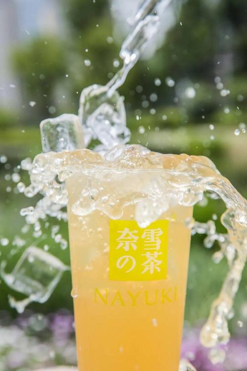 河源奈雪加盟费及加盟条件2023，河源奈雪加盟费大约是多少钱