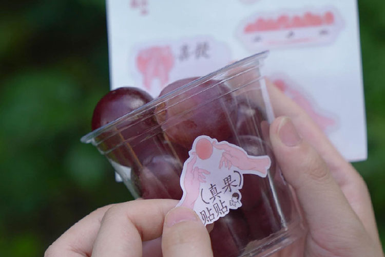 甘南喜茶加盟费及加盟条件2023，甘南喜茶加盟费大约是多少钱