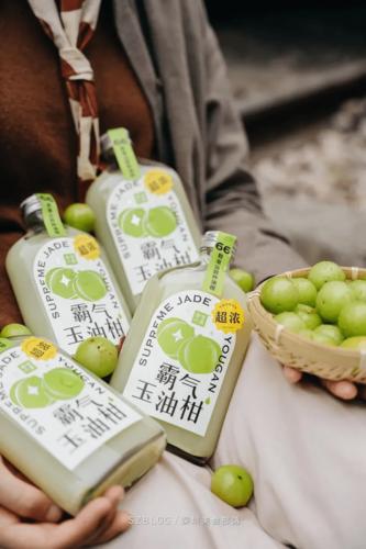 红河奈雪加盟费及加盟条件