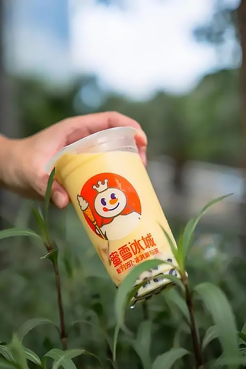 蜜雪冰城加盟条件2023，蜜雪冰城加盟费大约多少钱