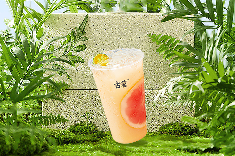 古茗加盟要什么条件