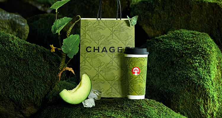 开—家霸王茶姬大概多少钱,开—家霸王茶姬加盟店需要多少钱